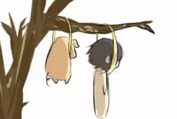 听君一席话,自挂东南枝!是什么意思?