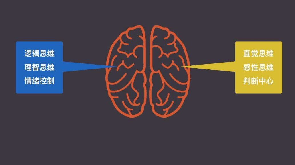 理性和感性有何区别？