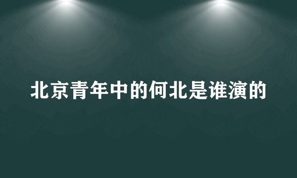 北京青年中的何北是谁演的