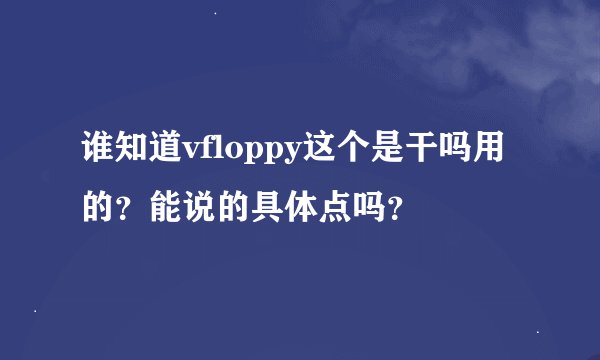 谁知道vfloppy这个是干吗用的？能说的具体点吗？