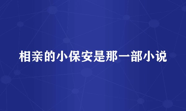 相亲的小保安是那一部小说