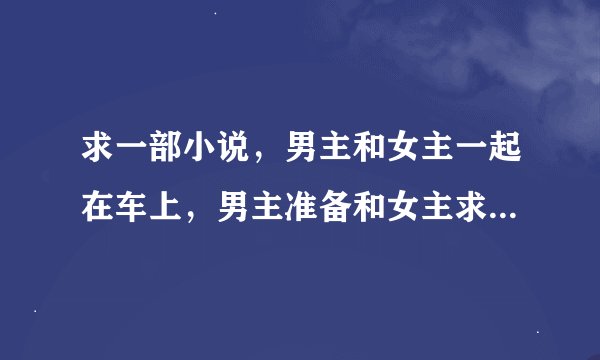 求一部小说，男主和女主一起在车上，男主准备和女主求婚，女主太激动