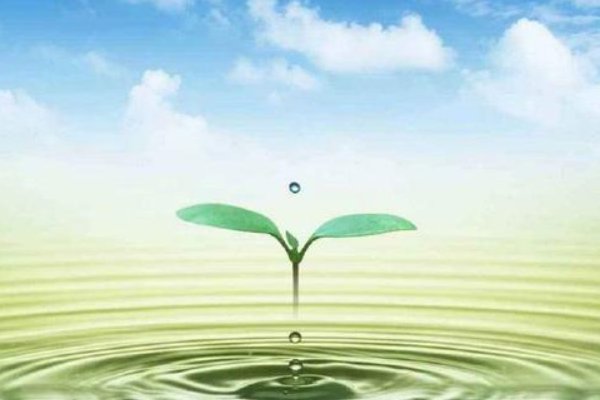 涌泉相报的意思是什么