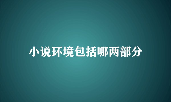小说环境包括哪两部分