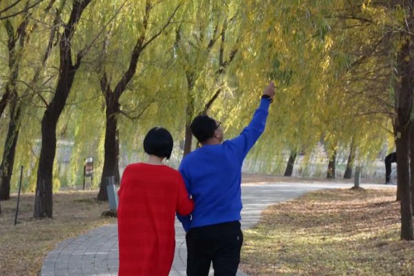 伉俪怎么读什么意思