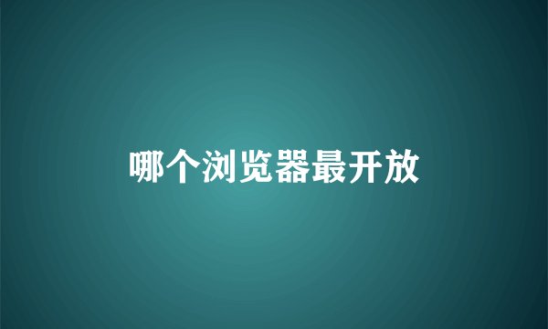 哪个浏览器最开放