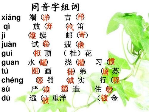 同音字100组有哪些词语？