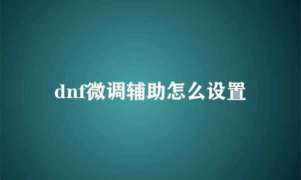 dnf微调辅助怎么设置
