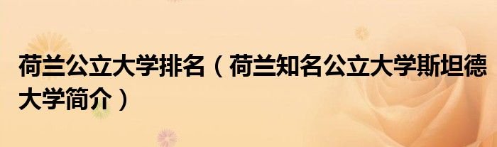 荷兰公立大学排名荷兰知名公立大学斯坦德大学简介