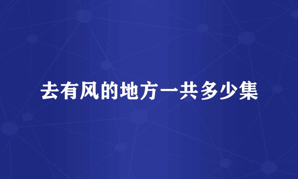 去有风的地方一共多少集