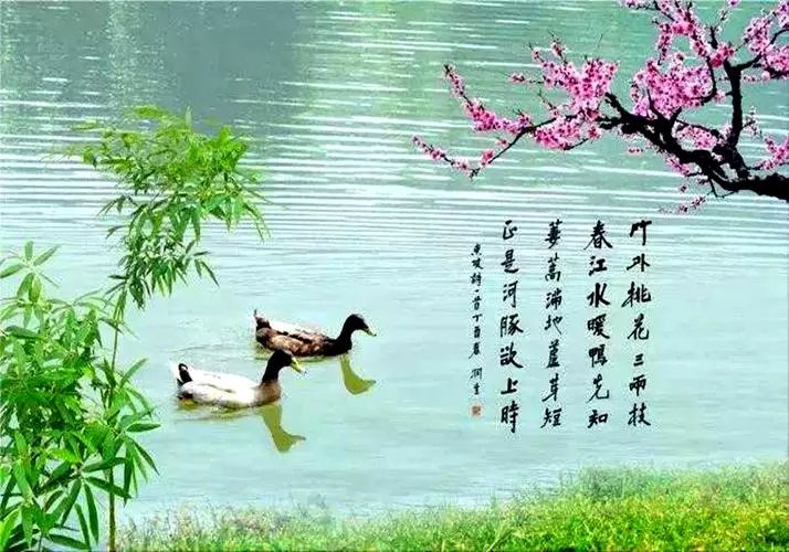 惠崇春江晚景的诗意是什么？