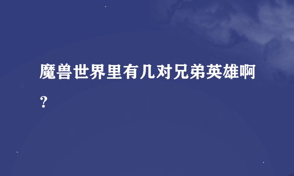 魔兽世界里有几对兄弟英雄啊？
