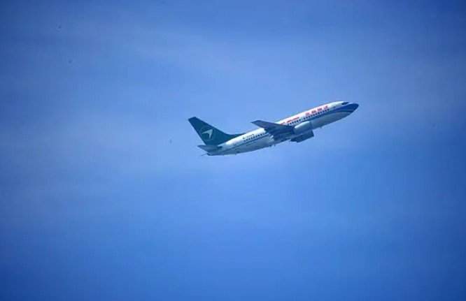 flt是什么英文的缩写