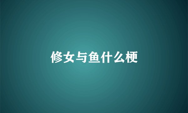 修女与鱼什么梗