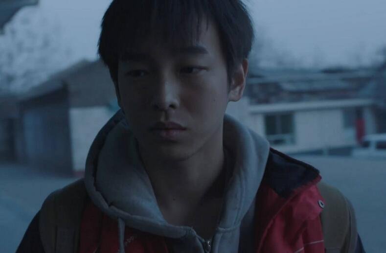 电影《大象席地而坐》主要讲了什么？