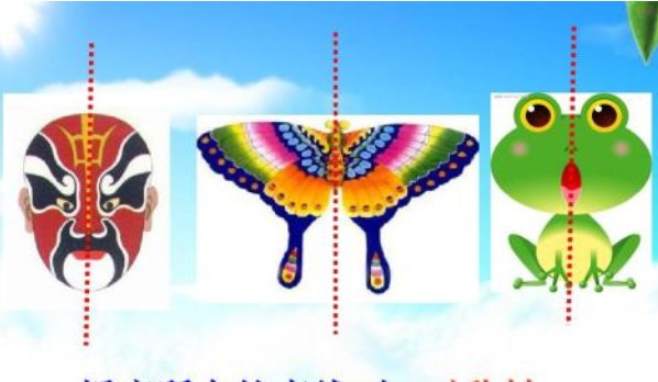 数学中的对称有哪几种