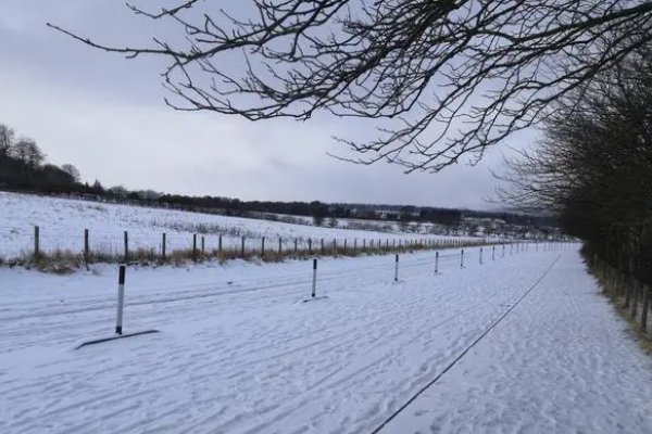 发朋友圈下雪幽默句子