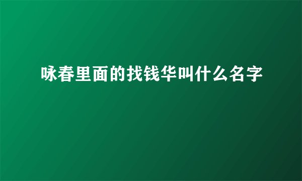 咏春里面的找钱华叫什么名字