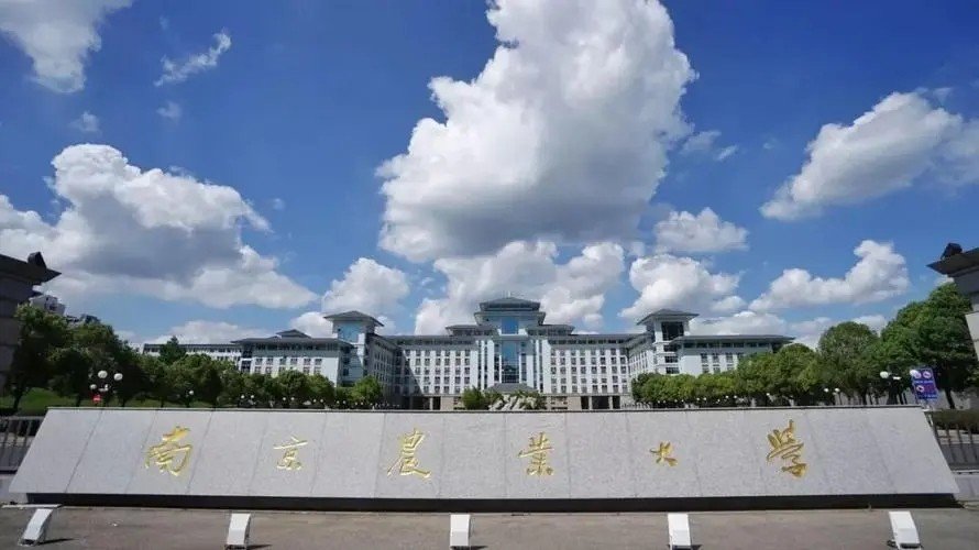 nupt是哪个学校