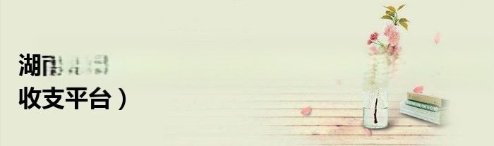 湖南科技大学财务处官网（湖南科技大学统一收支平台）