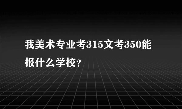 我美术专业考315文考350能报什么学校？