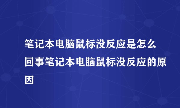 笔记本电脑鼠标没反应是怎么回事笔记本电脑鼠标没反应的原因