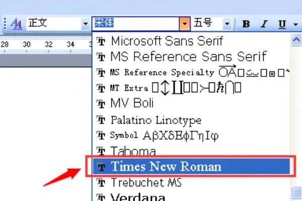 新罗马字体是什么字体？