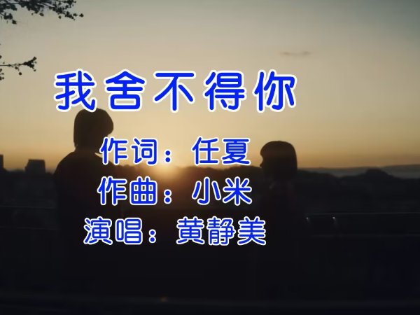 我舍不得你又和你结不了婚是什么歌