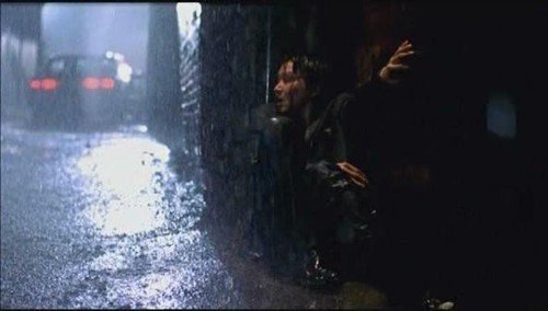 爱的肢解的介绍