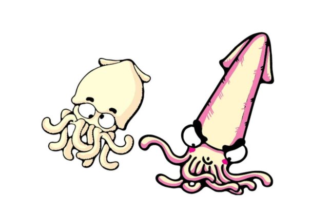 乌贼与章鱼的区别在哪里？