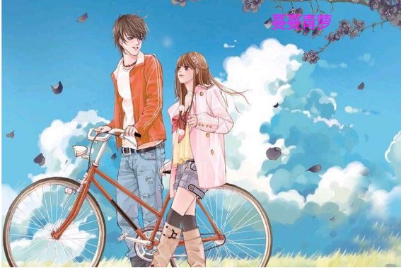 桩桩的全部小说