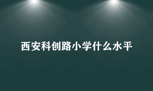西安科创路小学什么水平
