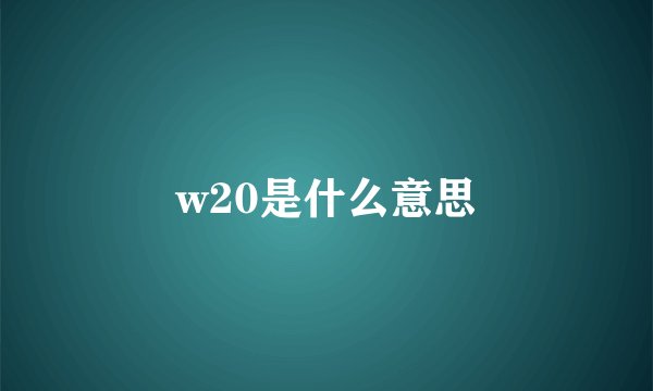 w20是什么意思