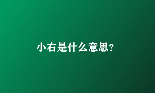 小右是什么意思？