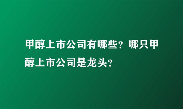 甲醇上市公司有哪些？哪只甲醇上市公司是龙头？