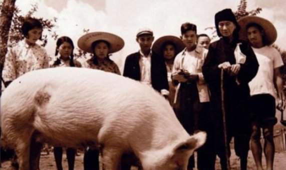 大锅饭时代几年到几年