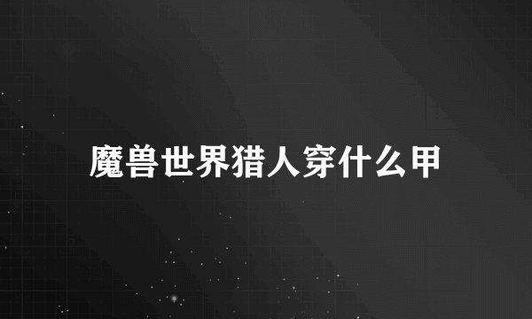 魔兽世界猎人穿什么甲