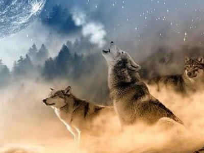 关于三个人的网名有哪些?