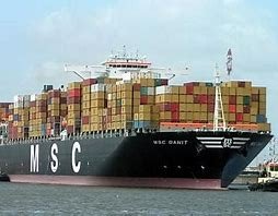 msc的中文是什么