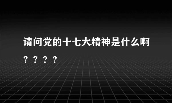 请问党的十七大精神是什么啊？？？？