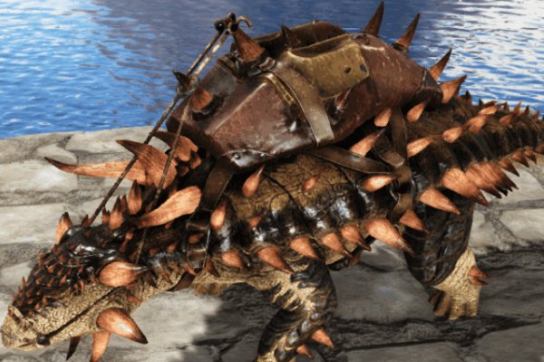 方舟十大稀有龙都有什么?