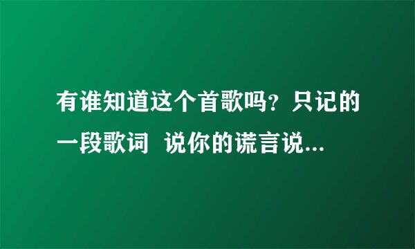 有谁知道这个首歌吗？只记的一段歌词  说你的谎言说什么，一点不同