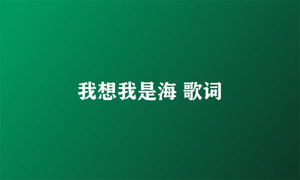 我想我是海 歌词