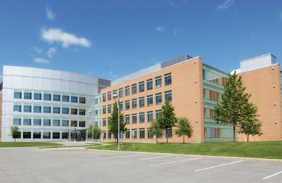 武汉专科大学排名及分数线