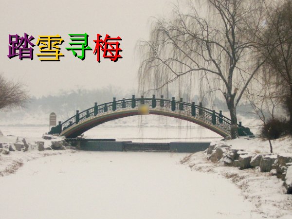 踏雪寻梅歌词