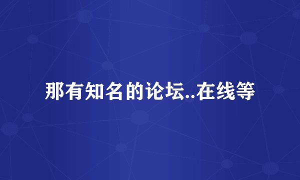 那有知名的论坛..在线等