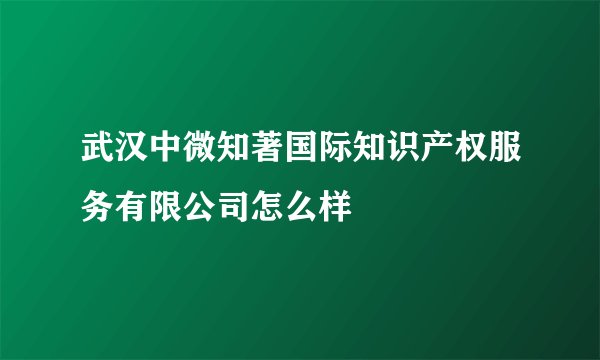 武汉中微知著国际知识产权服务有限公司怎么样