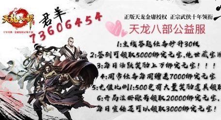 公益的天龙八部私服