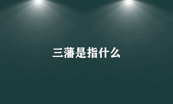 三藩是指什么