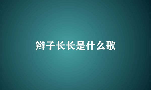 辫子长长是什么歌